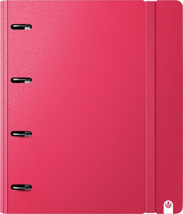 Produktbild Carchivo Ringbuch mit Inhalt Carpeblock 360 (A4, 40 mm)