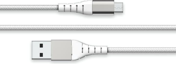 Actual product image Bigben Connected Fpliamic2mw (2 m)