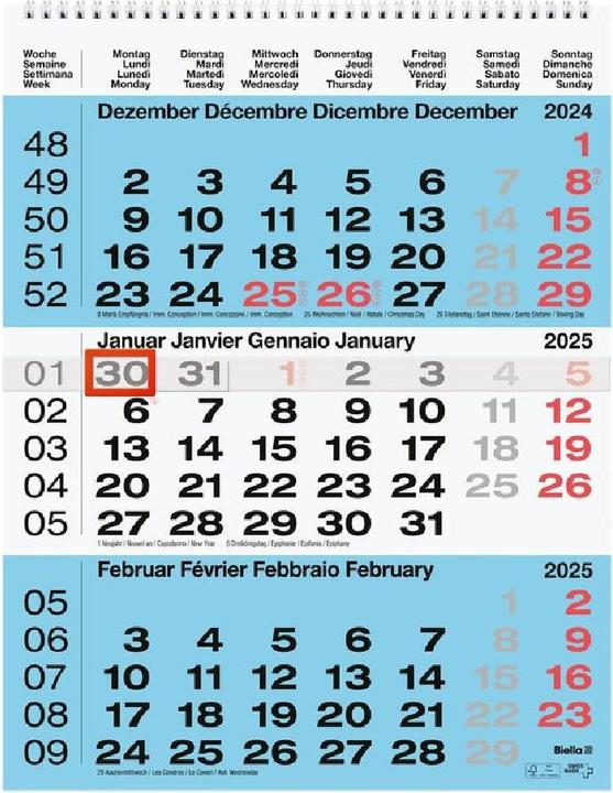 Biella Calendari con visualizzazione di 3 mesi (31 x 40 cm, Nessuna rilegatura, Tedesco)