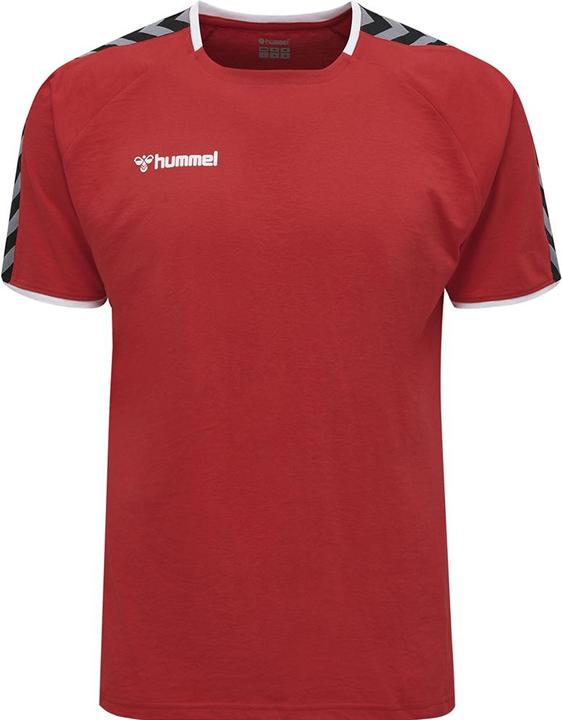 Actual product image hummel Authentic Training Tee (S)