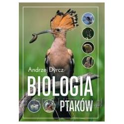 Thumbnail - No Name Biologia ptaków