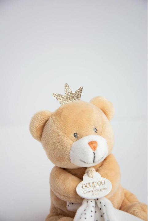 Actual product image Doudou et Compagnie Cuddle cloth Little Prince Bear