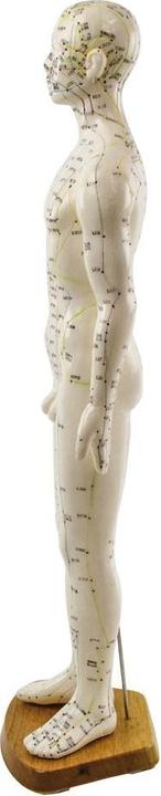 Immagine prodotto HeineScientific Modello di agopuntura