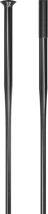 Actual product image DT Swiss Revolite Straightpull