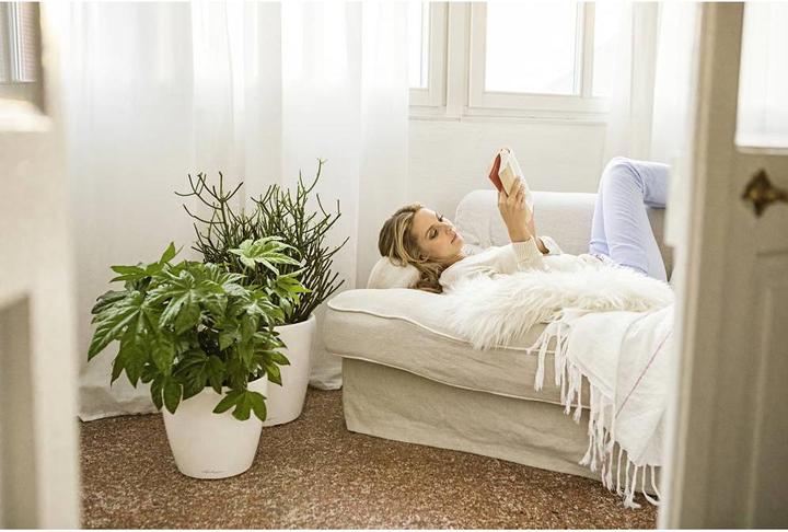 Image du produit Lechuza Classico (43.50 x 39.50 cm)