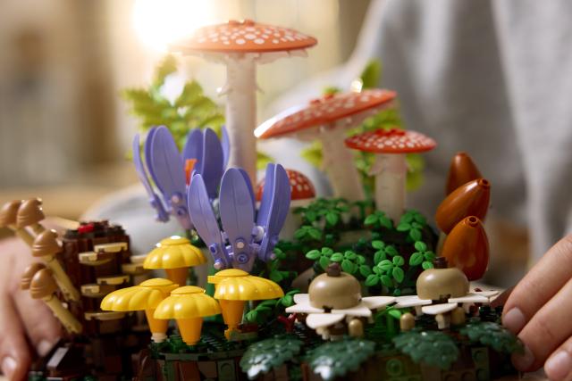 Produktbild LEGO 11505 Waldpilze (LEGO Botanicals)
