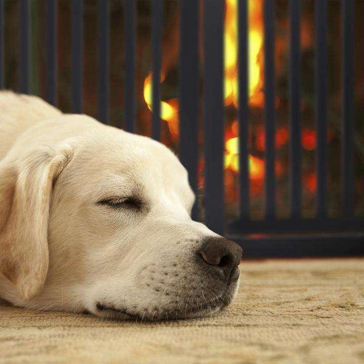 Immagine prodotto Relaxdays Wetterfahne