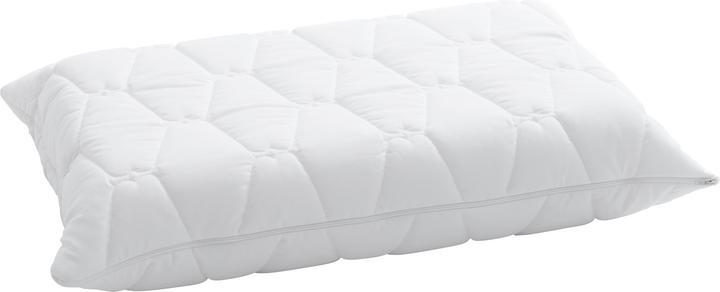 Immagine prodotto Billerbeck Novum (50 x 70 cm)