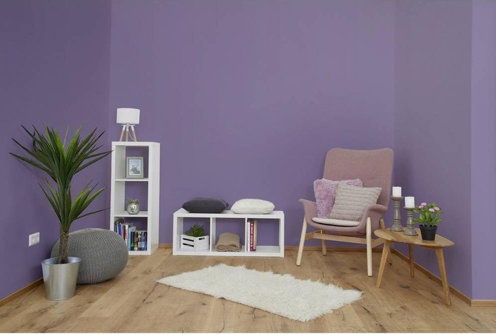 Image du produit Wagner Control Pro 250 M