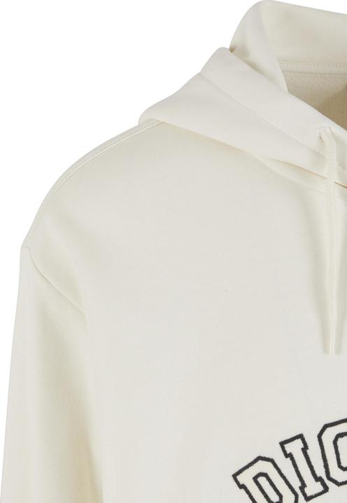 Image du produit Dickies Sweat à capuche West Vale - 92125 (S)