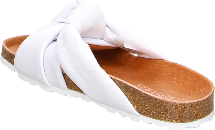 Actual product image Verbenas Rainbow Blanco (41)