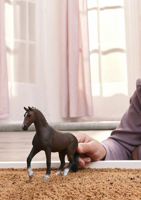 Image du produit Schleich KWPN Wallach