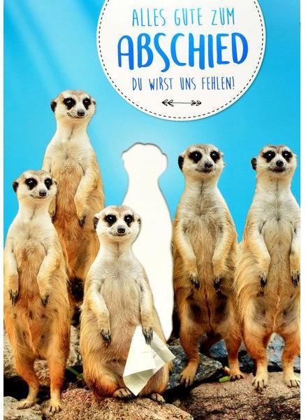 ABC Meerkat (1 pcs.)
