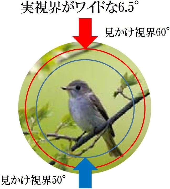 Actual product image Kowa Binoculars SVII 10x25 (10 x, 25 mm)
