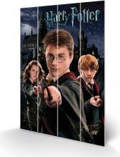 Produktbild Pyramid HARRY POTTER - Harry Ron & Hermione - Impression sur bois 40x59cm (40 x 59 cm)