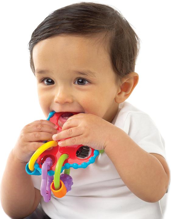 Actual product image Playgro Roundabout rattle