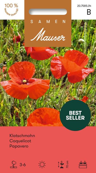 Samen Mauser Corn Poppy (Plant seeds)