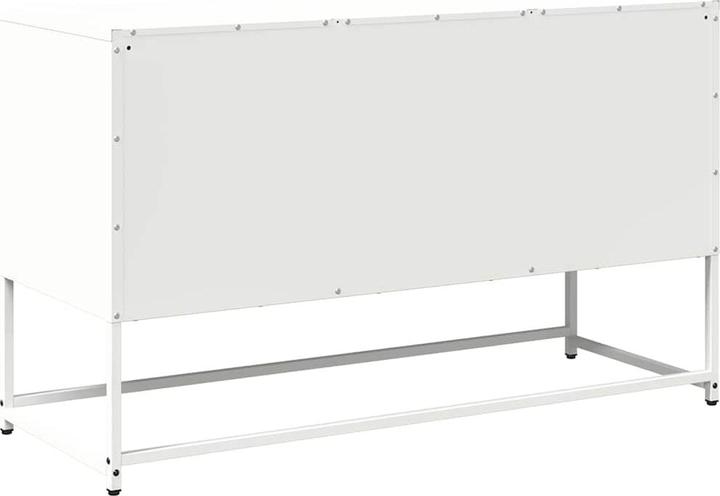 Image du produit vidaXL TV-Schrank (100.50 x 39 x 60.50 cm)