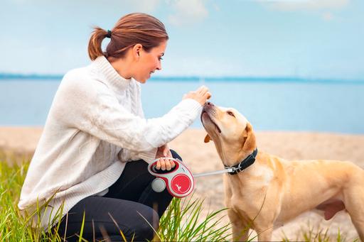 Produktbild Flexi New Comfort Gurt (M, Hund, Spazieren)