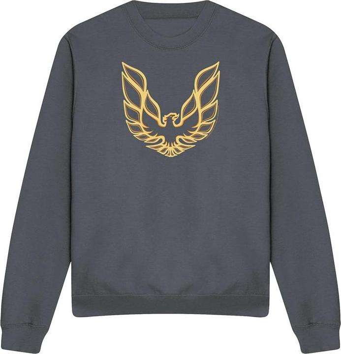 Immagine prodotto Pontiac Iconic Firebird Felpa Adulto Unisex (L)