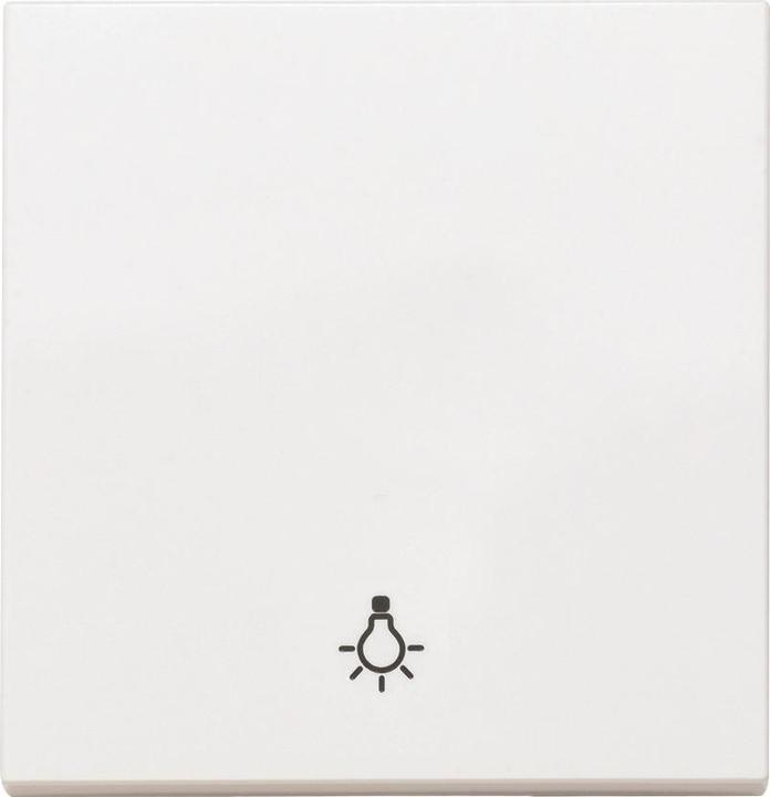 Produktbild Panasonic WDTR00161WHEU1 Plus 55 Wippe weiss mit Symbol Licht