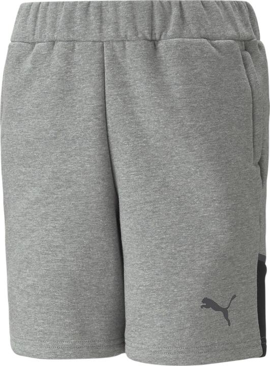 Actual product image Puma teamCUP Casuals Shorts Jr (140)
