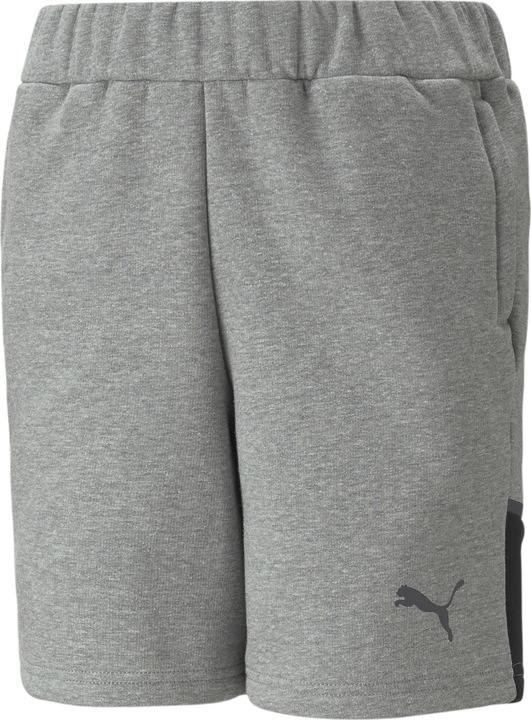 Produktbild Puma teamCUP Casuals Shorts Jr (140)