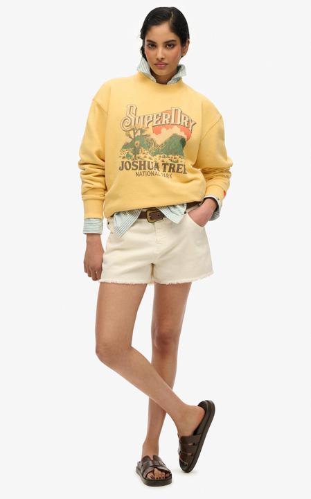 Actual product image Superdry Souvenir Graphic Loose Crew (M)