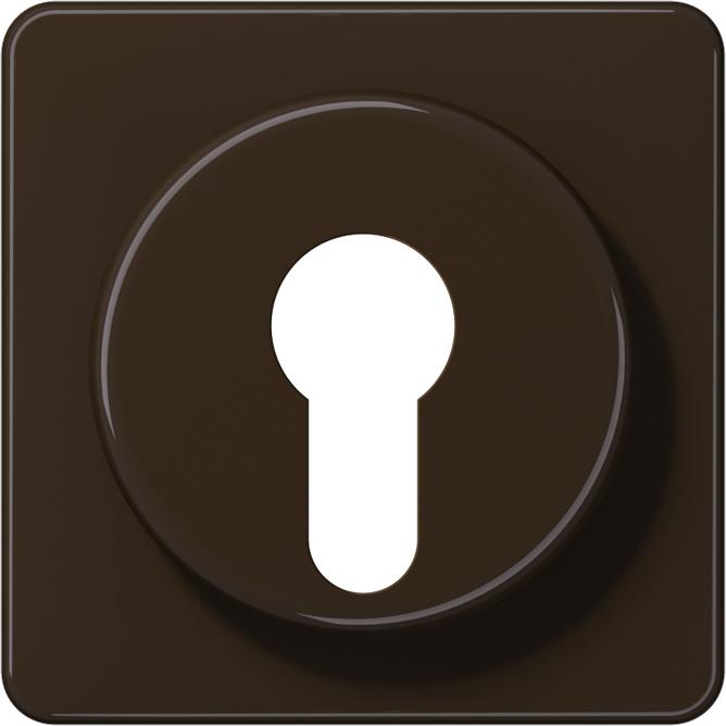 Actual product image JUNG Key/Abd switch CD br glz CD528BR