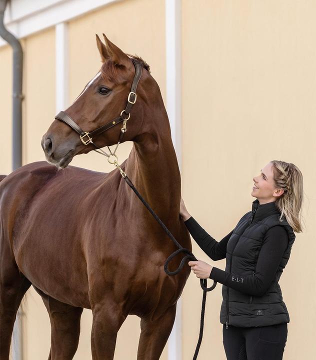 Produktbild Waldhausen S-Line Royal