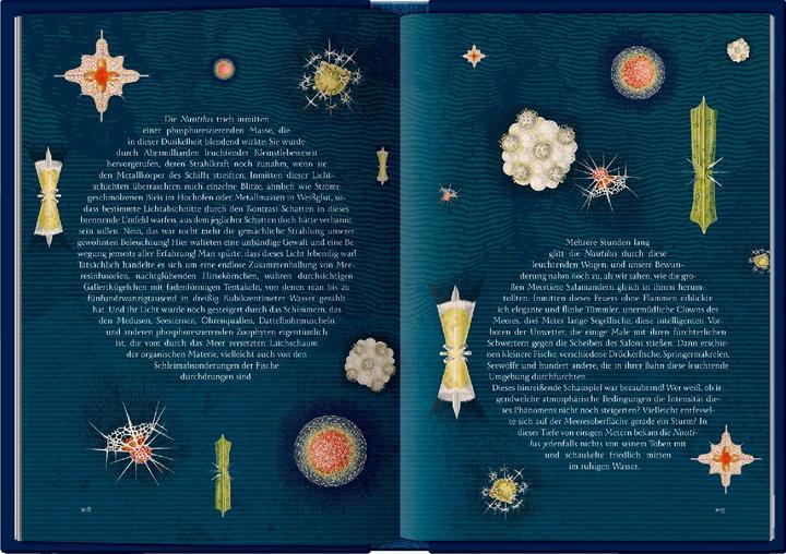 Image du produit 20 000 Meilen unter den Meeren (Allemand, Albert Bartel, Volker Dehs, Jules Verne, 2023)