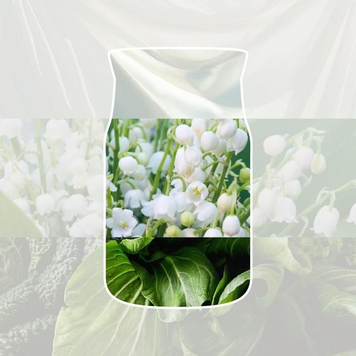 Actual product image Yankee Candle Clean Cotton