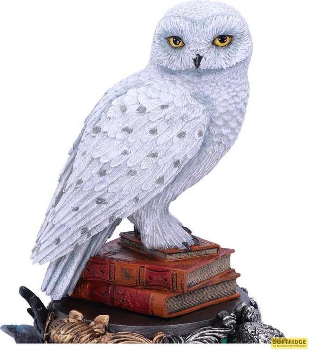 Produktbild GED ST Harry Potter Hedwig 22cm
