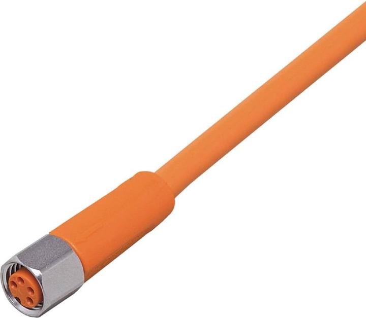 Immagine prodotto IFM EVT137