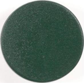 Image du produit Bi-Office Aimants super puissants verts (10x)