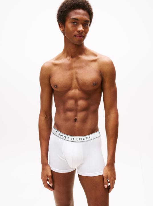 Actual product image Tommy Hilfiger 3p Trunk Dtm (L, pack of 3)