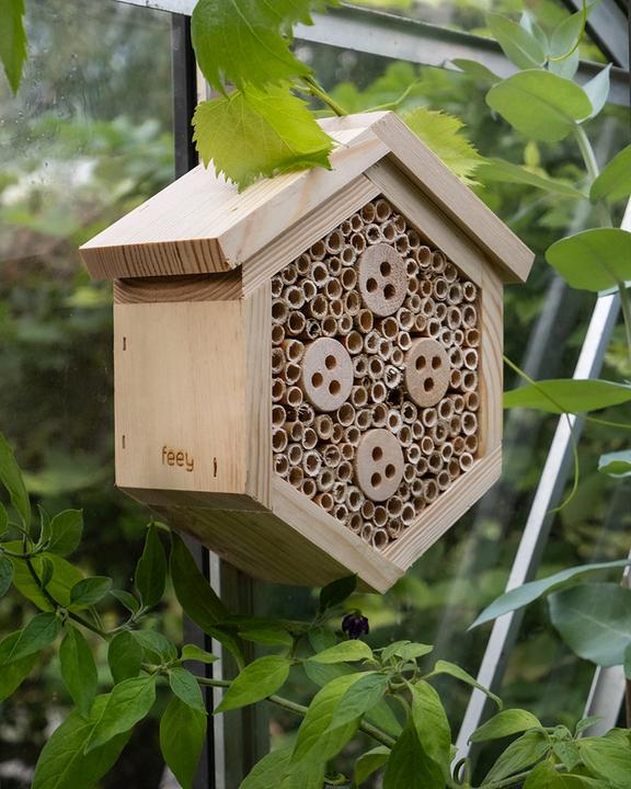 feey Forsisens (Wild bees)