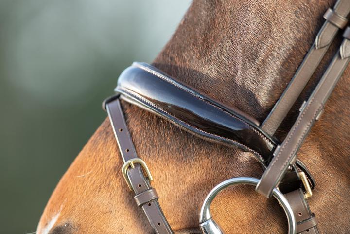 Actual product image HFI Master Shiny