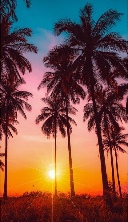 Actual product image Good Morning Bora Bora (100 x 180 cm)