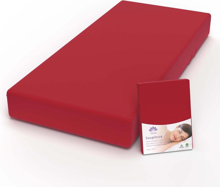 Actual product image Lotus Bettwaren Jersey fitted sheet Souplesse (120 x 200 cm)