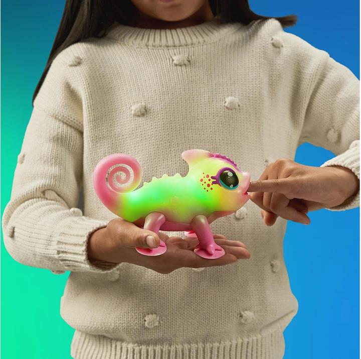 Actual product image Moose Calm A Chameloen - Nova