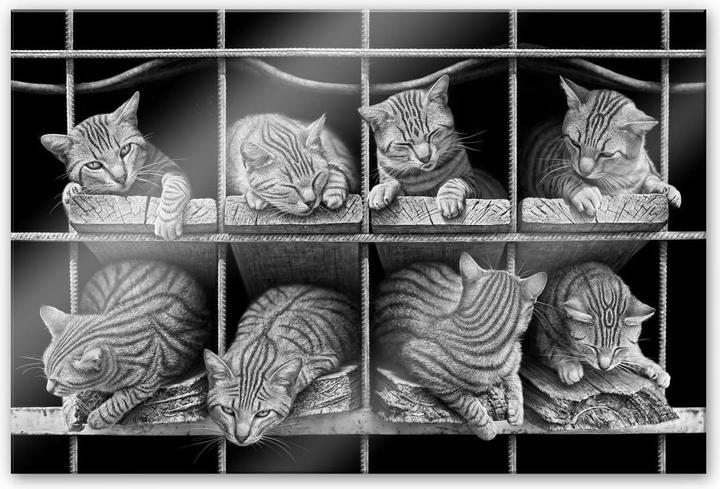 Immagine prodotto Trenddeko Heine - Il gatto (100 x 150 cm)