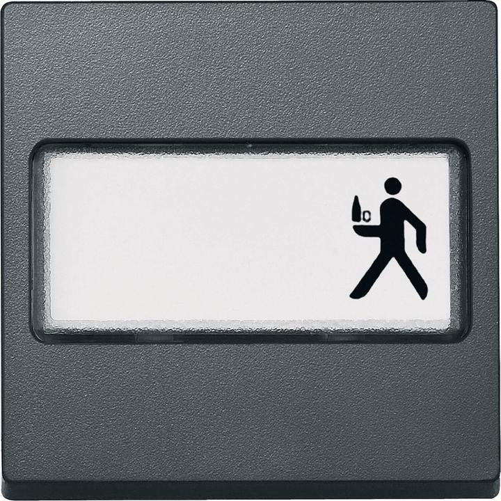 Actual product image Merten Rocker with labelling field, anthracite, system 433314