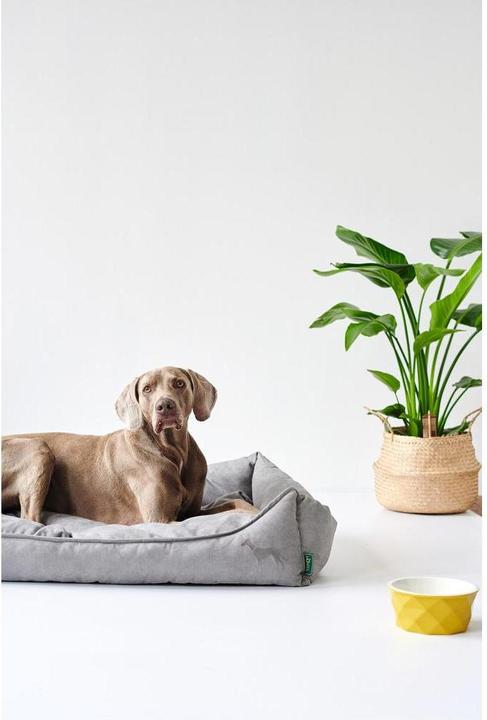 Actual product image Hunter Eiby (Dog)