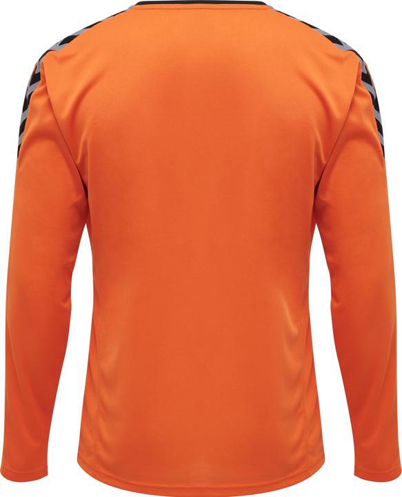 Produktbild hummel Authentic Poly Jersey L/S (S)