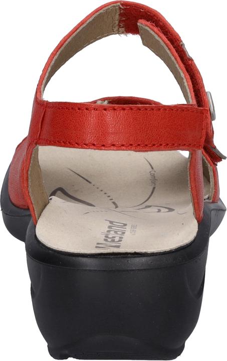 Actual product image Westland 25902-644 (39)