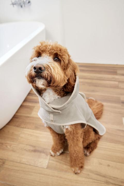 Immagine prodotto Palopa Accappatoio per cani Robi beige L (L, Accappatoio per cani)