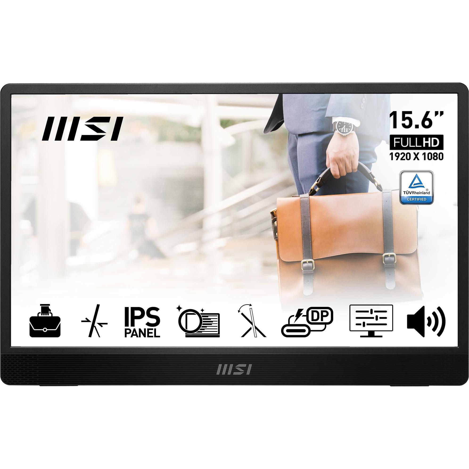 MSI PRO M161DE E2 (1920 x 1080 Pixel, 15.60"), Monitor, Grau