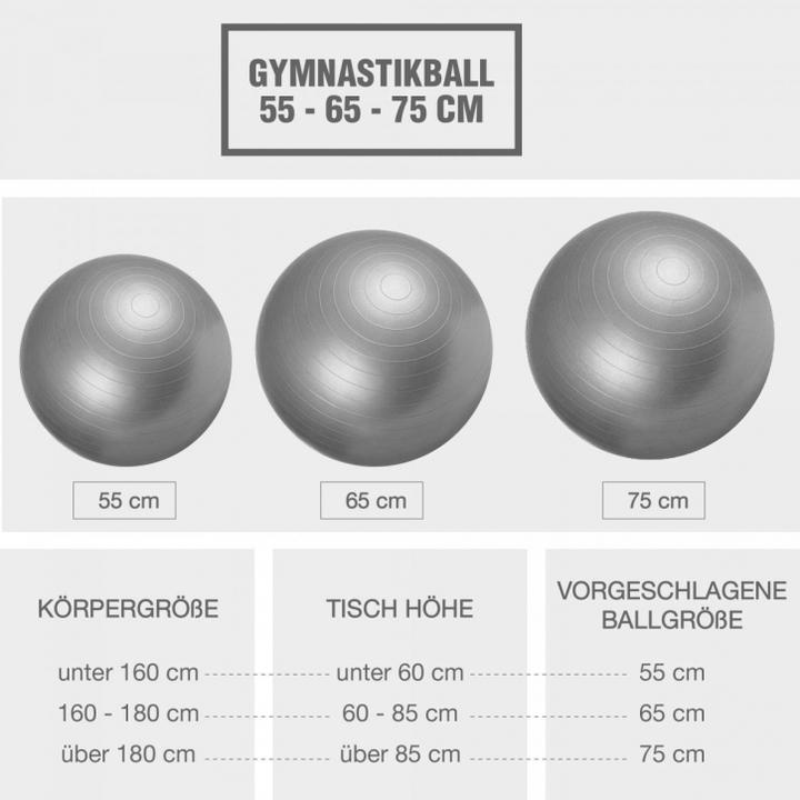 Image du produit Gorilla Sports Ballon d'exercice (75 cm)