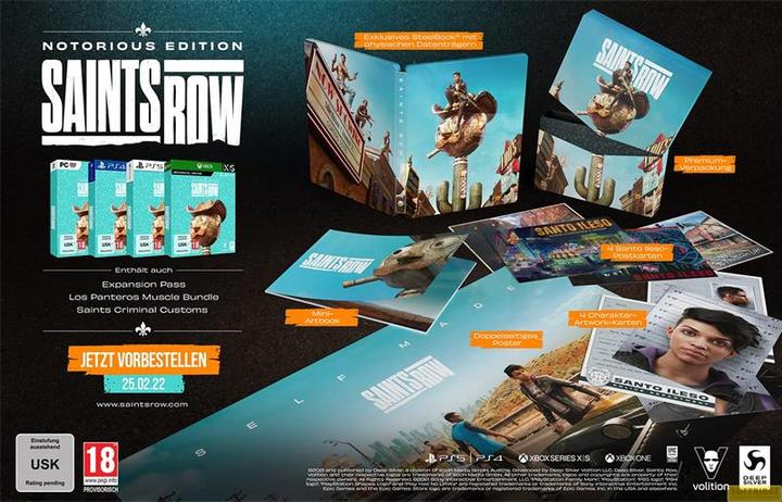 Actual product image Deep Silver Saints Row - Notorious Edition (Windows, DE)